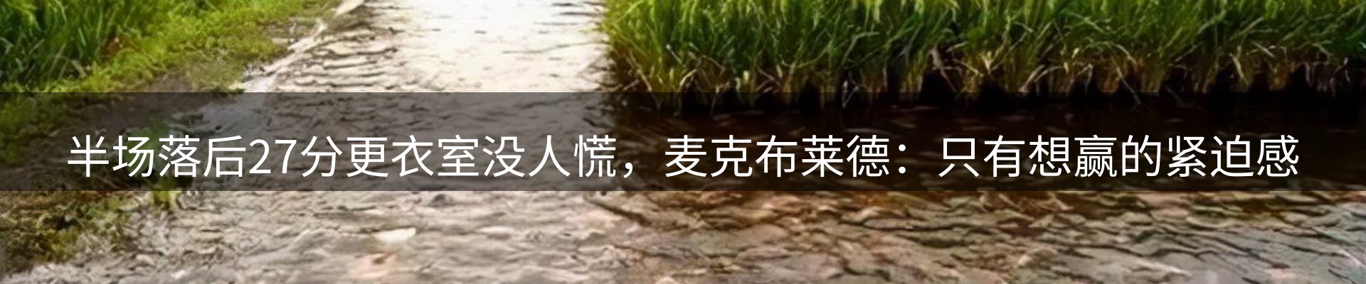 新闻播报